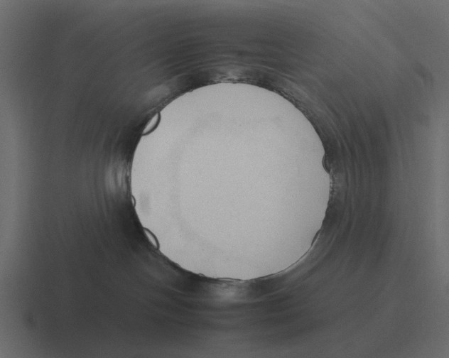 X0000116320094200912291542