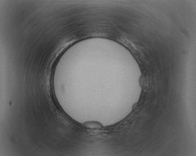 X0000116320098200912291541