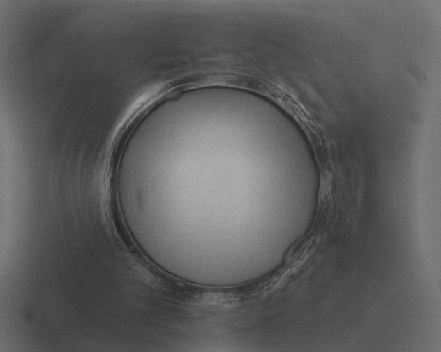 X0000116320101200912291541