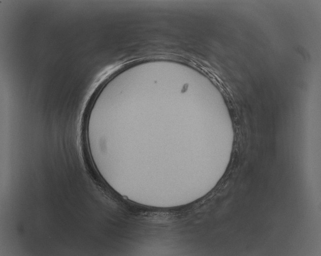 X0000116320104200912291541