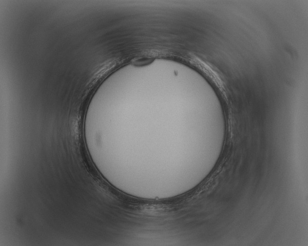 X0000116320105200912291541