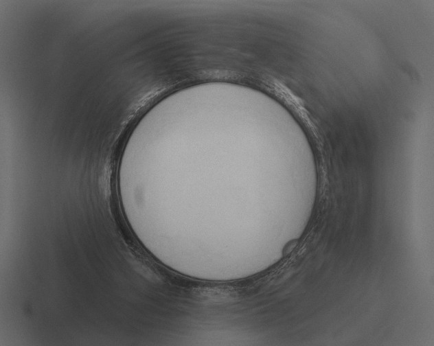 X0000116320106200912291541