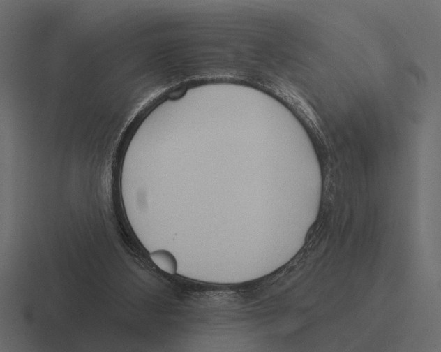 X0000116320108200912291541