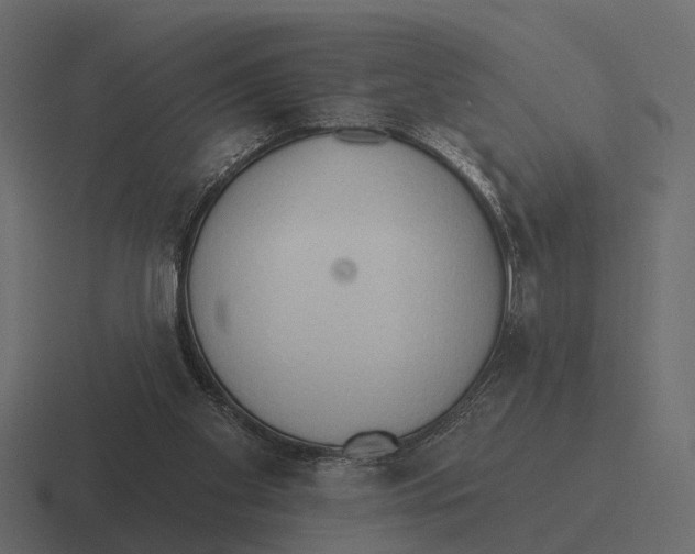 X0000116320109200912291541