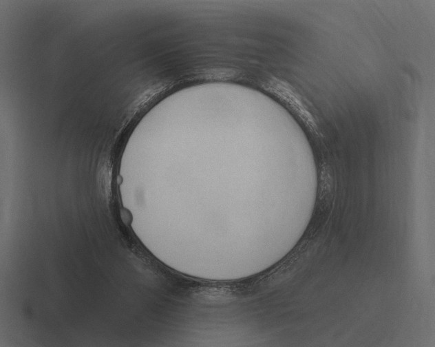 X0000116320110200912291541