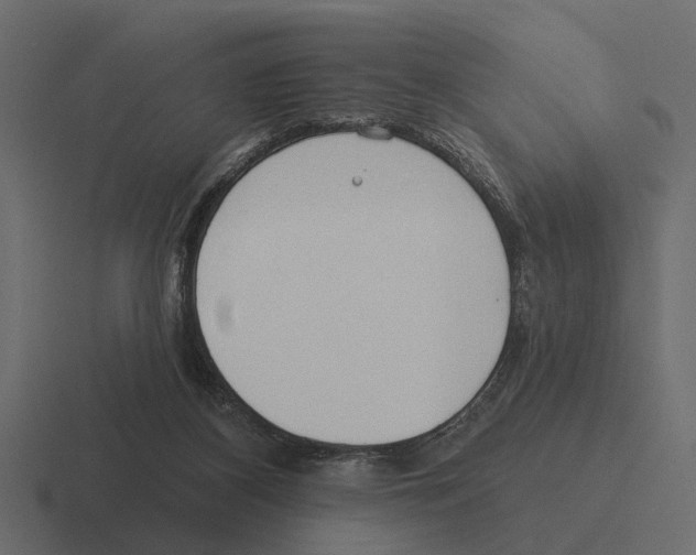 X0000116320116200912291541