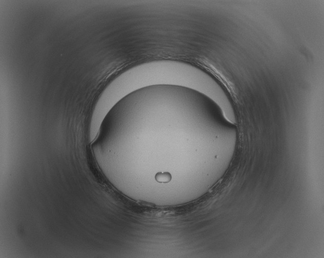 X0000116320117200912291541