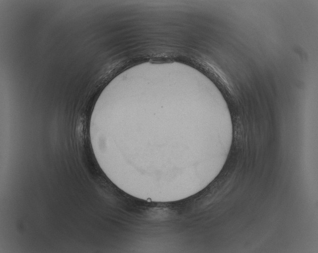 X0000116320119200912291541