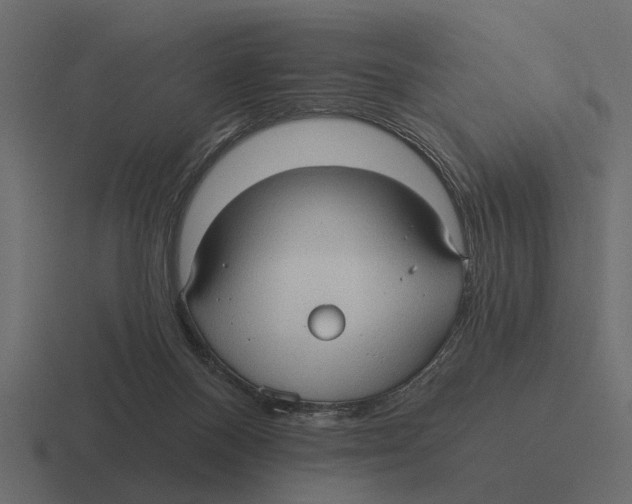 X0000116320120200912291541