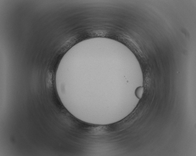 X0000116320122200912291541