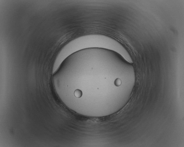 X0000116320124200912291541