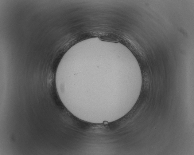 X0000116320125200912291541