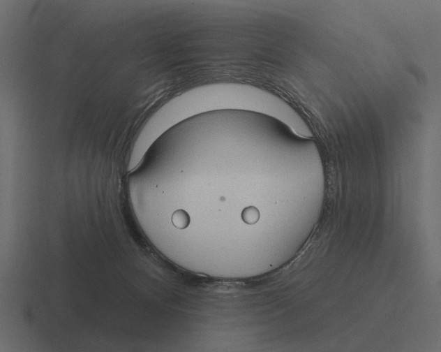 X0000116320128200912291541