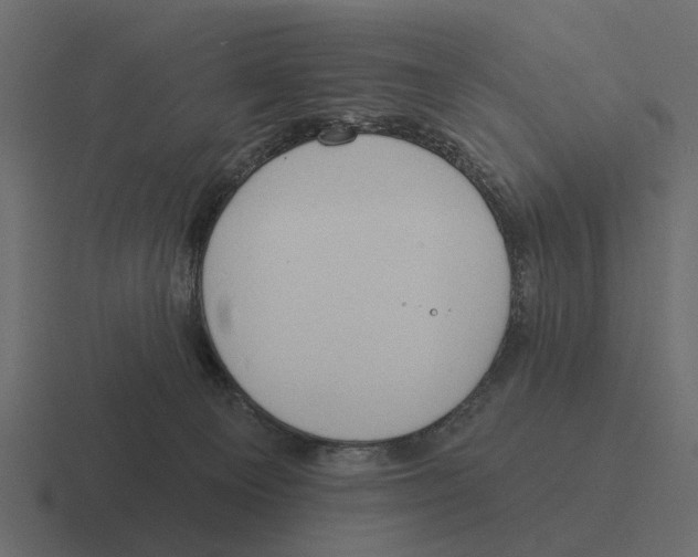 X0000116320129200912291541