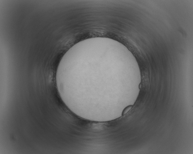 X0000116320134200912291541