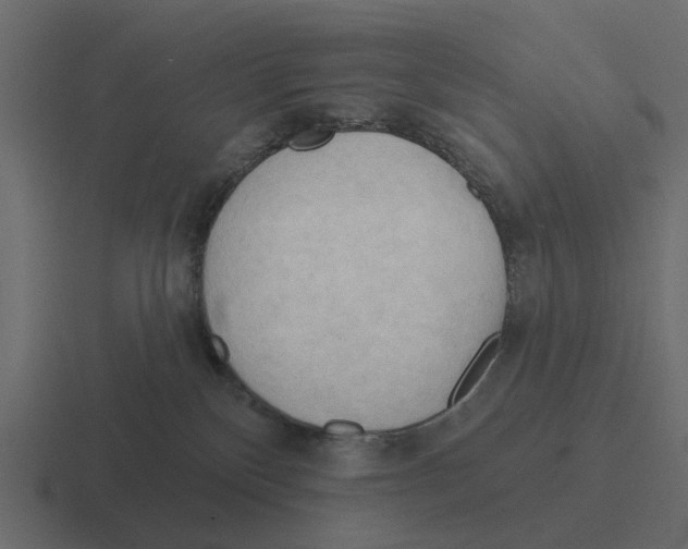 X0000116320136200912291540