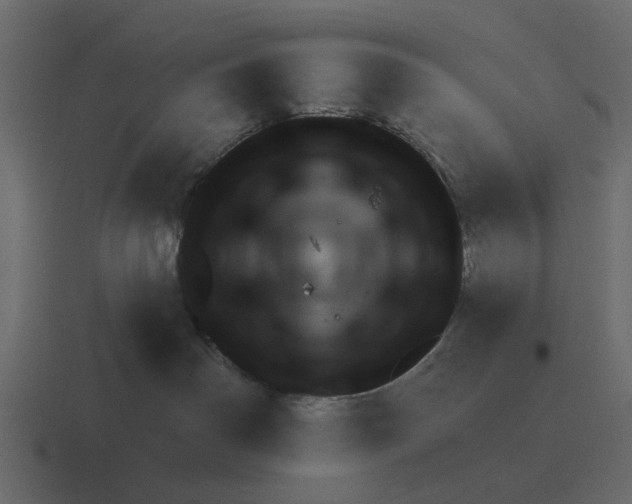 X0000116320142200912291540