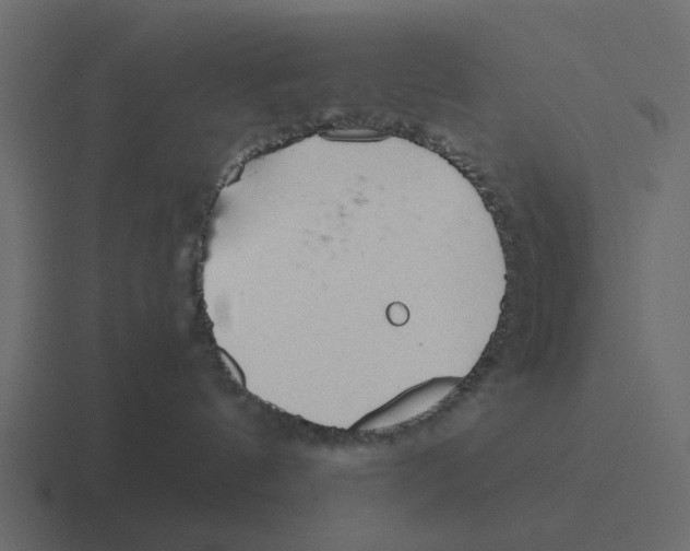 X0000116320144200912291540