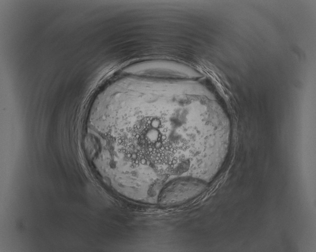 X0000116320145200912291540