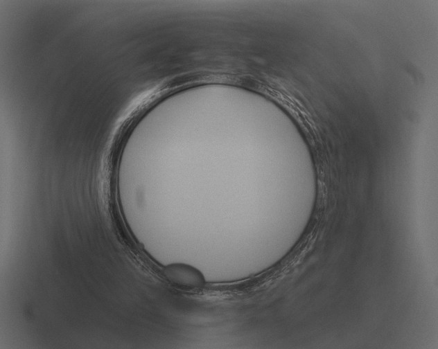 X0000116320149200912291540