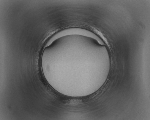 X0000116320154200912291540