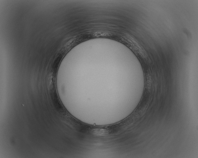 X0000116320169200912291540