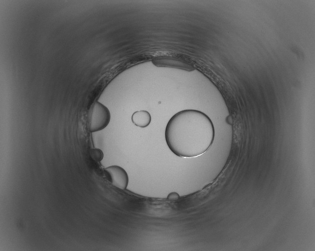 X0000116320175200912291540