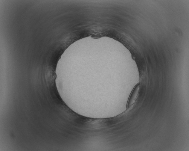 X0000116320186200912291540