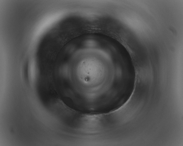 X0000116320190200912291540