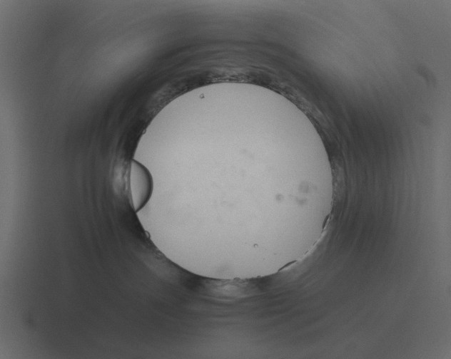 X0000116320191200912291540