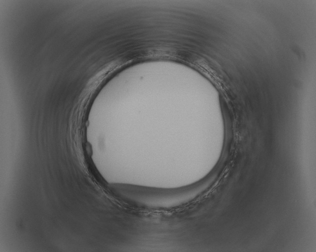 X0000116320193200912291540