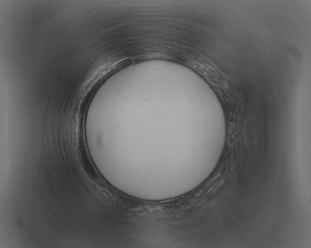 X0000116320194200912291540