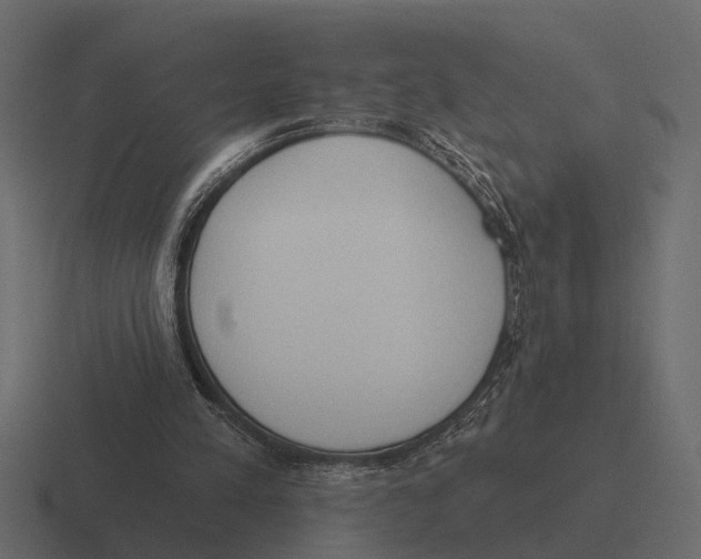 X0000116320197200912291540