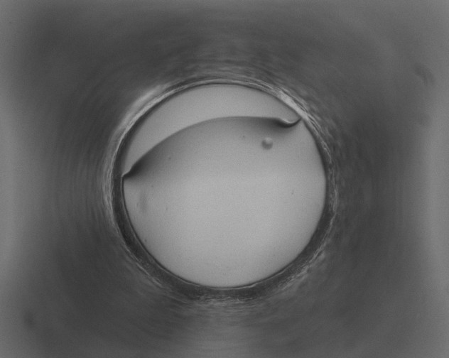 X0000116320199200912291540