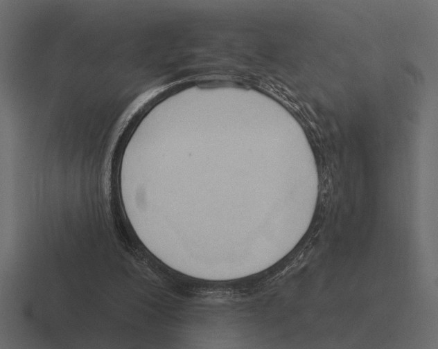 X0000116320200200912291540