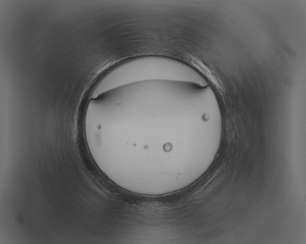 X0000116320203200912291540