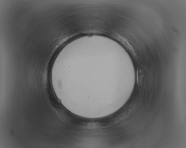 X0000116320204200912291540