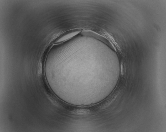 X0000116320205200912291540