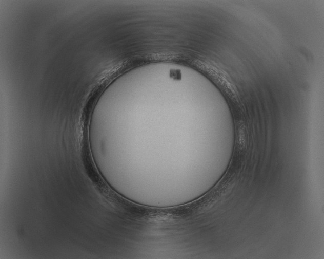 X0000116320206200912291540