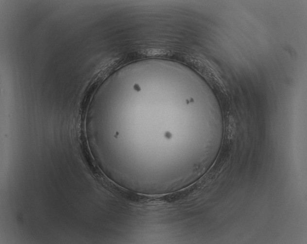 X0000116320210200912291540