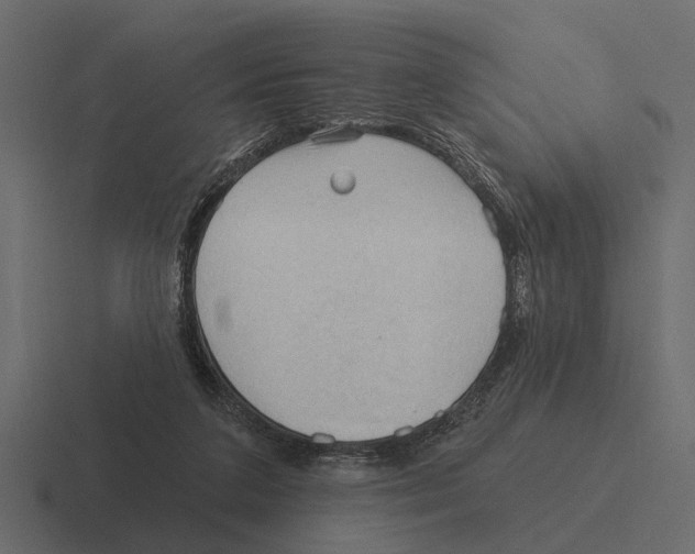 X0000116320211200912291540