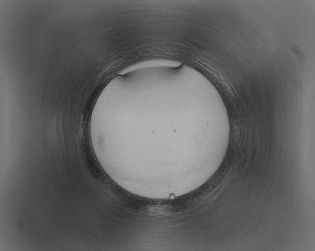 X0000116320216200912291539