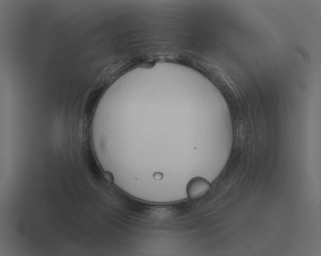 X0000116320218200912291539