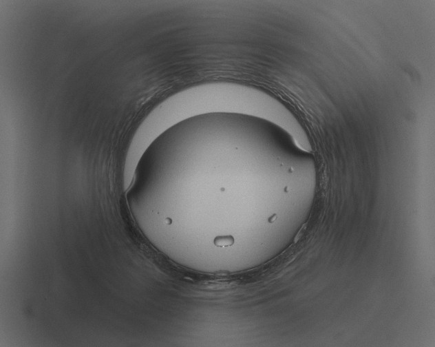 X0000116320219200912291539