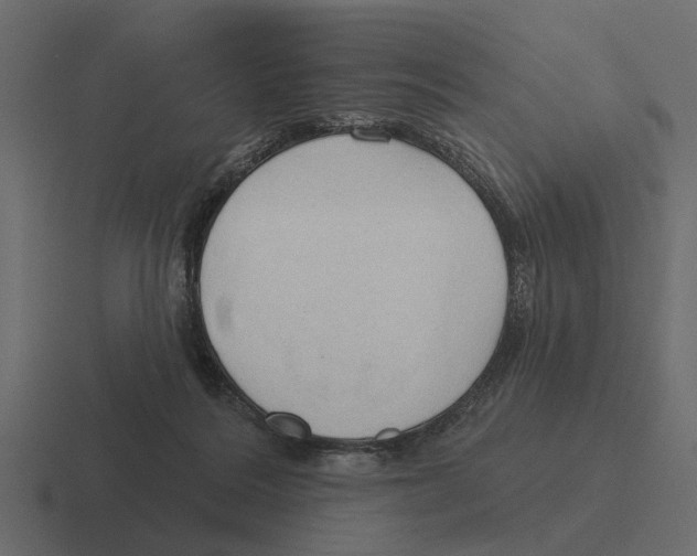 X0000116320220200912291539