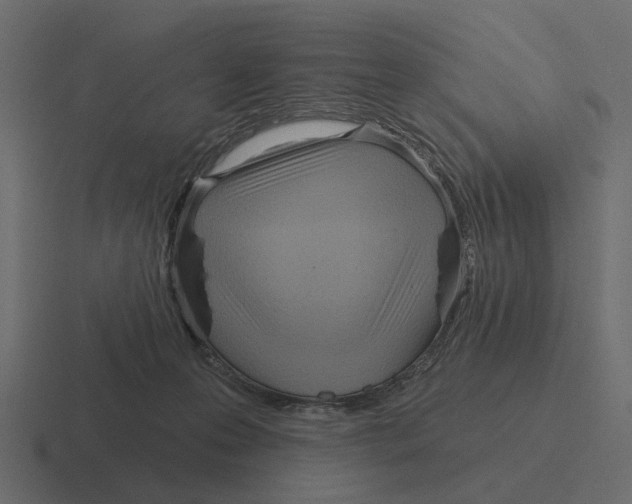 X0000116320223200912291539