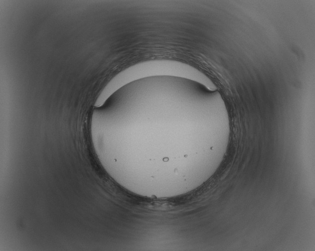 X0000116320225200912291539