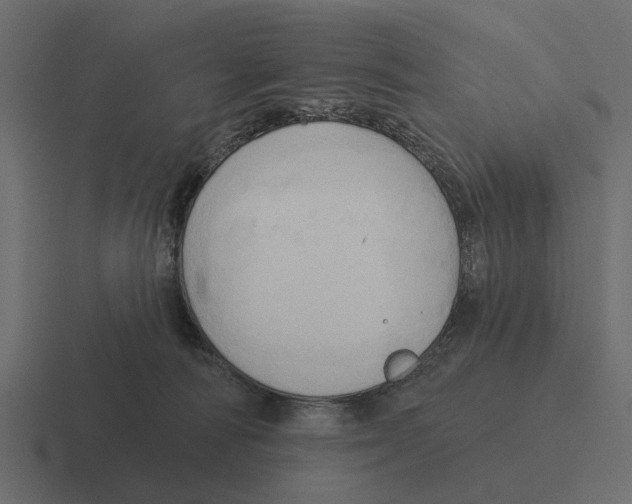 X0000116320226200912291539