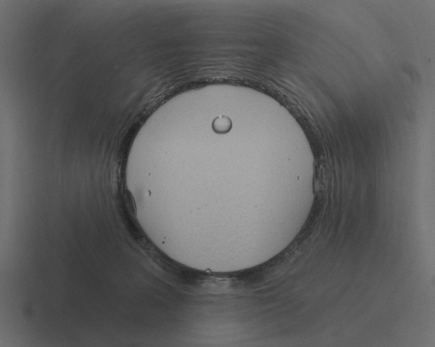 X0000116320227200912291539