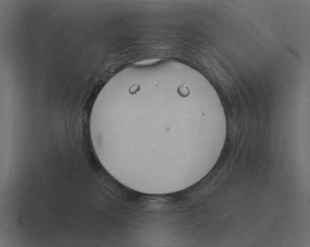 X0000116320229200912291539